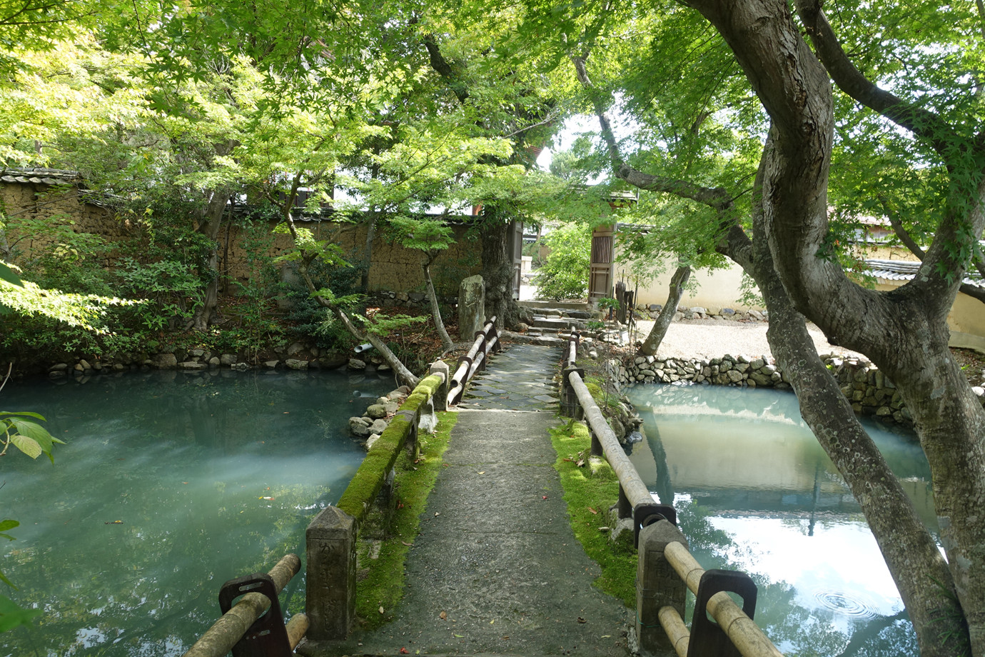 奈良-新藥師寺